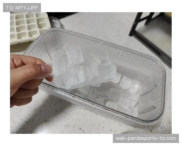 皮斯托瑞斯家的冰箱里，连冰块都是定制的