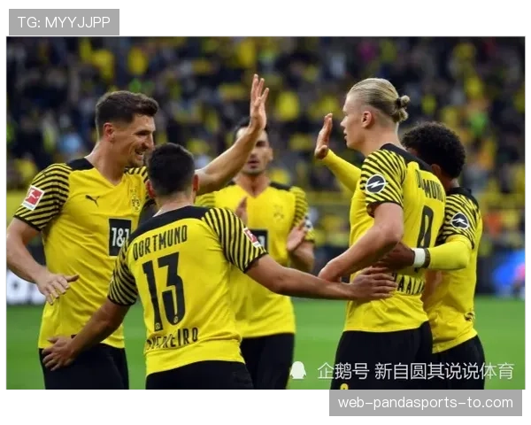 多特防线稳定性持续承压，对赛季后半程走势构成制约